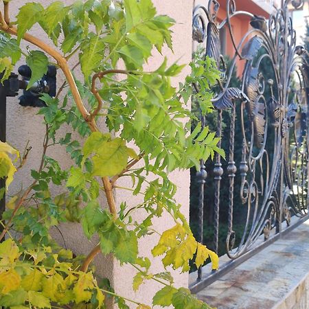 Guest House Via Сапарева Баня Екстер'єр фото