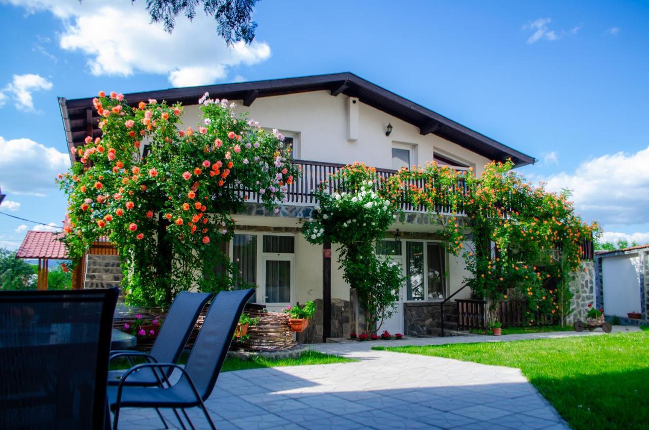 Guest House Via Сапарева Баня Екстер'єр фото