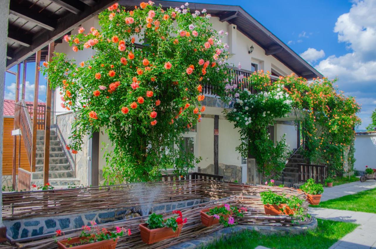Guest House Via Сапарева Баня Екстер'єр фото